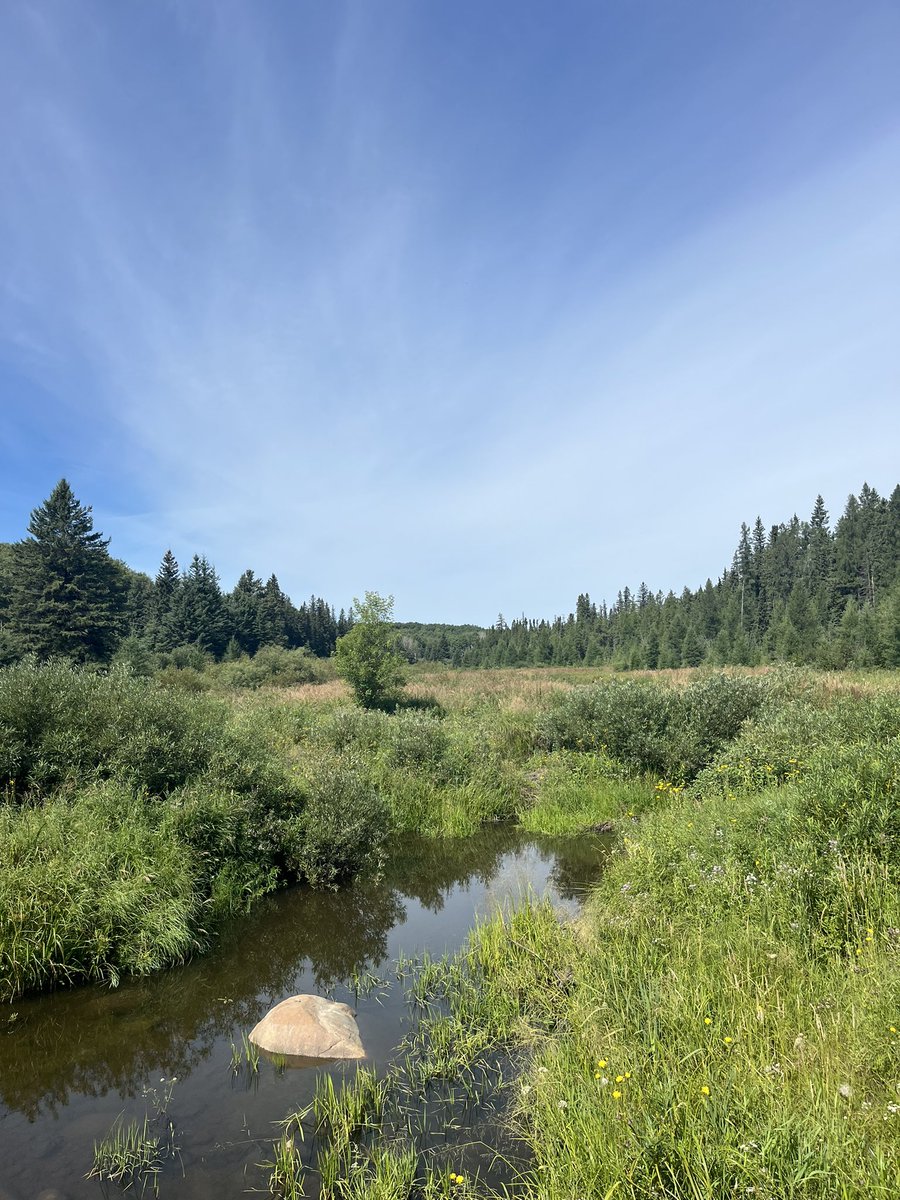 Prairieboy2's tweet image. What a great 10 days. It’s always sad to leave 🥲