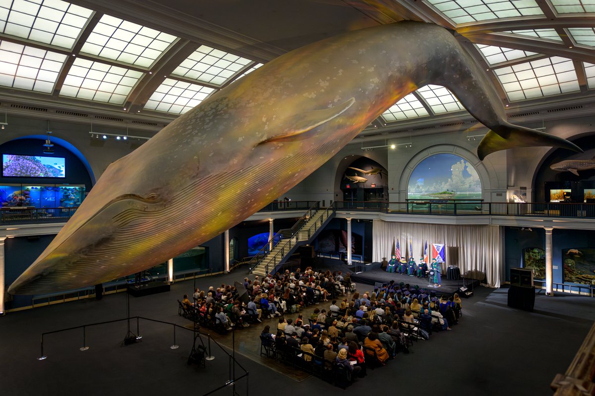 American Museum of Natural History tweet media