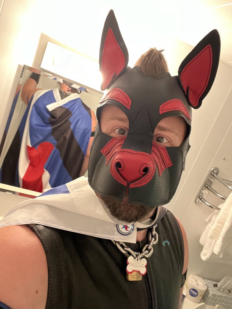 Pup Baldur 🐾 | Now with PuppyHawk™️ tweet media