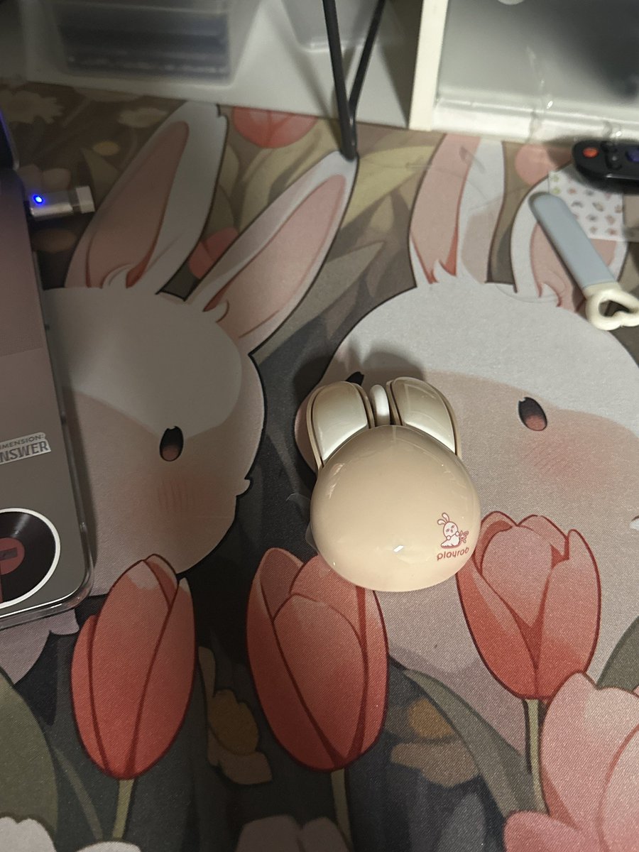 SQUEALS 

#bunny #kpoptwt #roblox #stantwt #sfw #sfwtwt #promo #promotwt