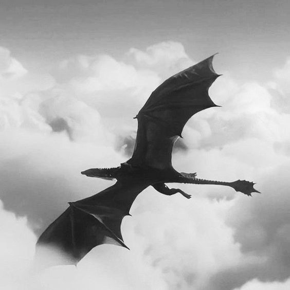 PlanetaNarnia's tweet photo. Eustace se había transformado en un dragón mientras dormía. Por dormir sobre el tesoro de un dragón y por tener pensamientos codiciosos como los de un dragón en el corazón, se había vuelto él mismo un dragón.

— La Travesía del Viajero del Alba.
#PlanetaNarnia #Narnia #ForNarnia https://t.co/IzgUnaQXqo