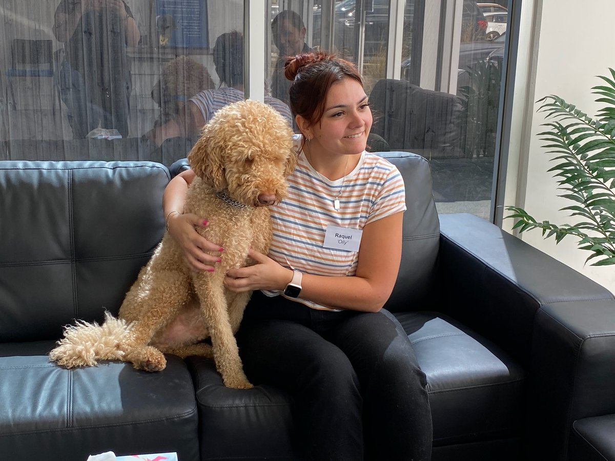 LeadTheWayAust's tweet image. Group supervision, coaching &amp;amp; mentoring 2024 - mailchi.mp/fbdab90daee6/g…