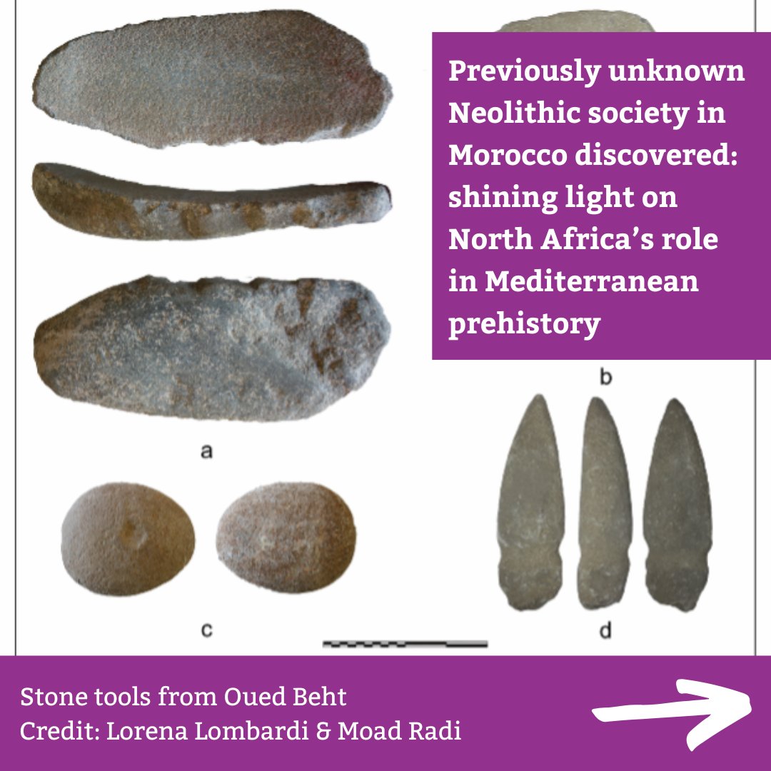 UCamArchaeology tweet picture