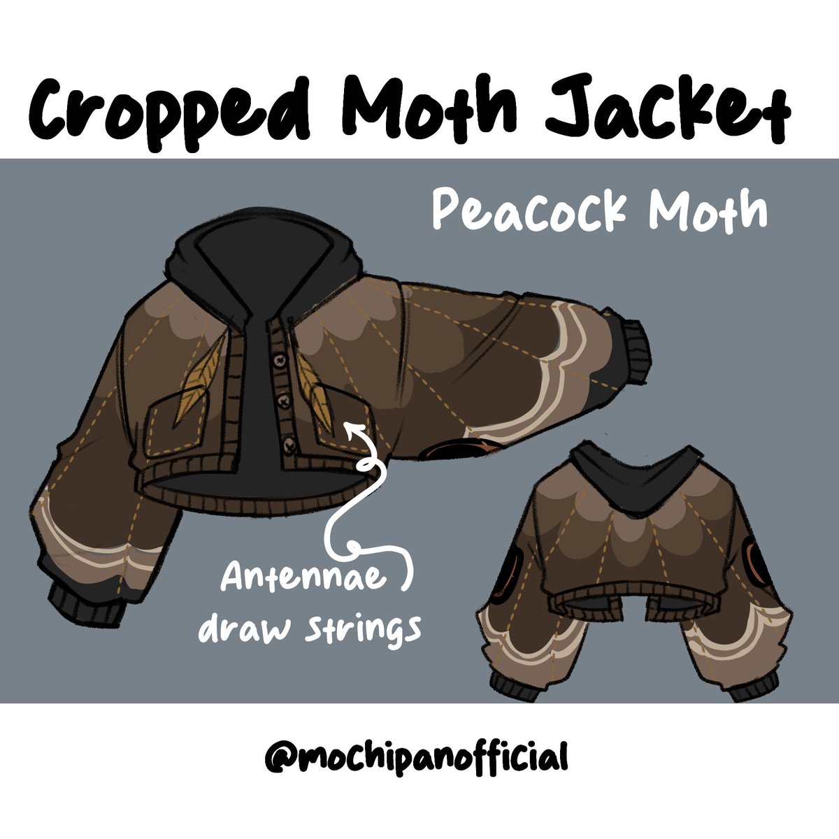 mochipanco's tweet image. Peacock moth :)
