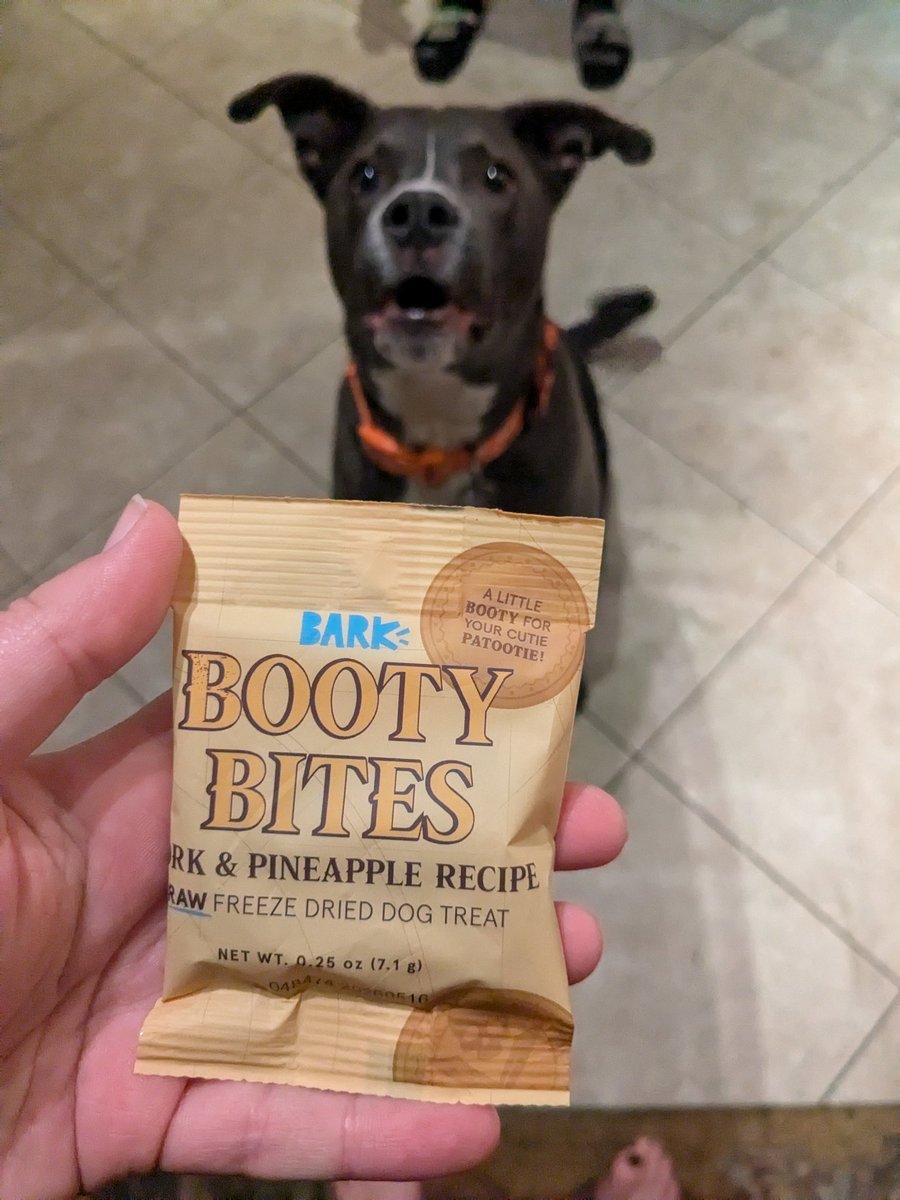 StephWeber19's tweet image. Why I love @barkbox so much! I'm not sure if Kito or I get more excited for Bark Box Day😩🐶 "A little booty for your cutie patootie" 🔥 #BarkBoxDay #SpoiledPup