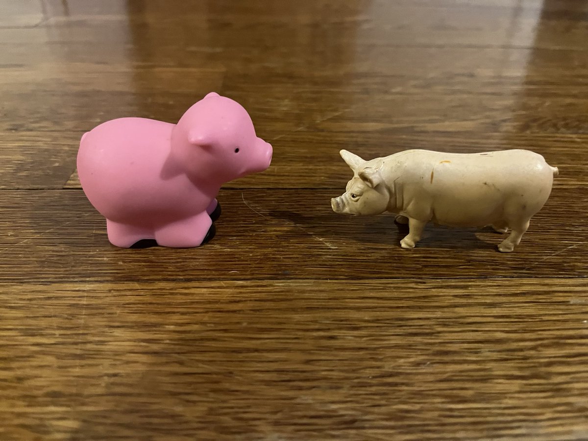 caesararum's tweet photo. it surprised me that my daughter could recognize both of these toys as "pig" about as early as she could speak

and in turn made me wonder what facility allows us to recognize both these as pig https://t.co/gzBniAZHsl
