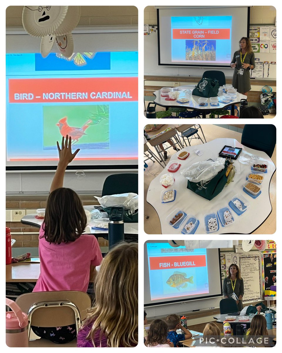 Ag in the Classroom!Did you know…there are 800 on a corn cob? Our state fruit is the Gold Rush Apple developed in a U of I lab? Our state animal waves its white tail to warn other deer when they smell predators?IL is #2 in growing corn? (Iowa is #1) #fa58share #dg58pride