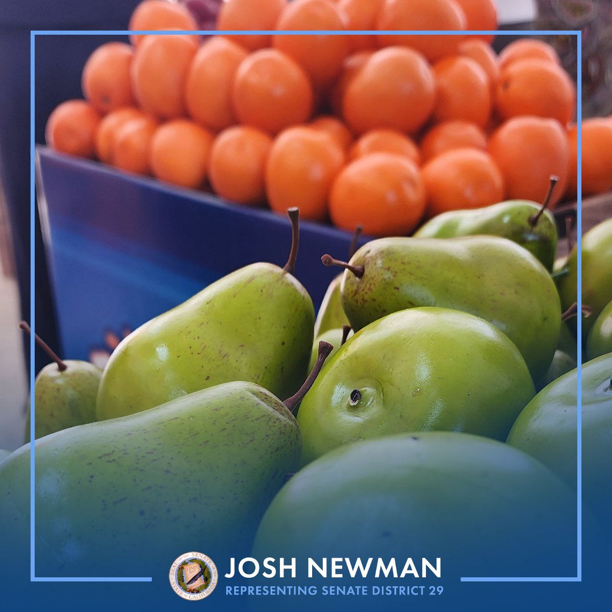 Senator Josh Newman tweet media