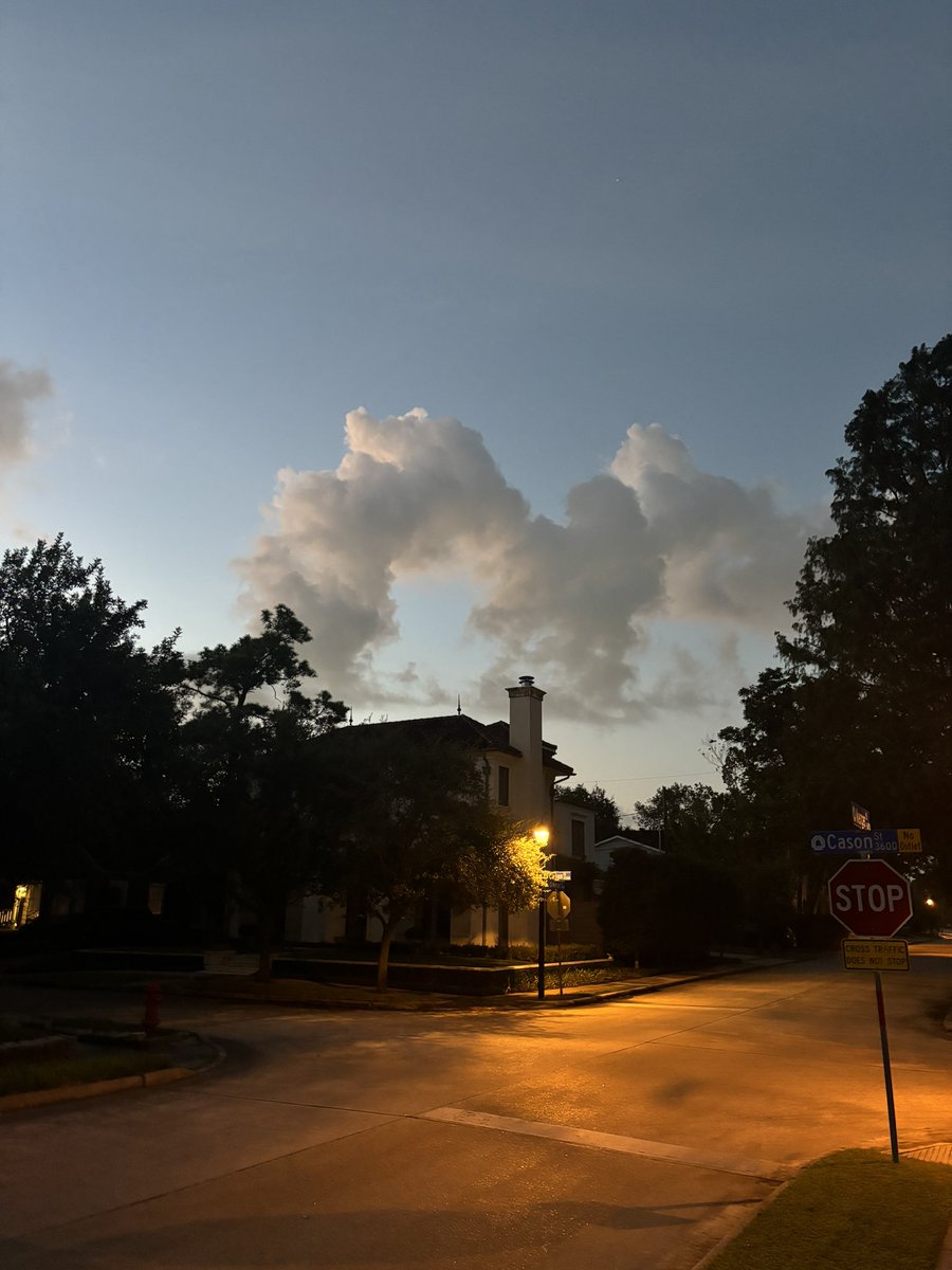 What is this? (Facing SE of Houston at 6:30 AM). 🐉? M? 🦇? <a href="/BillyForney3/">Billy Forney 3</a> ??
