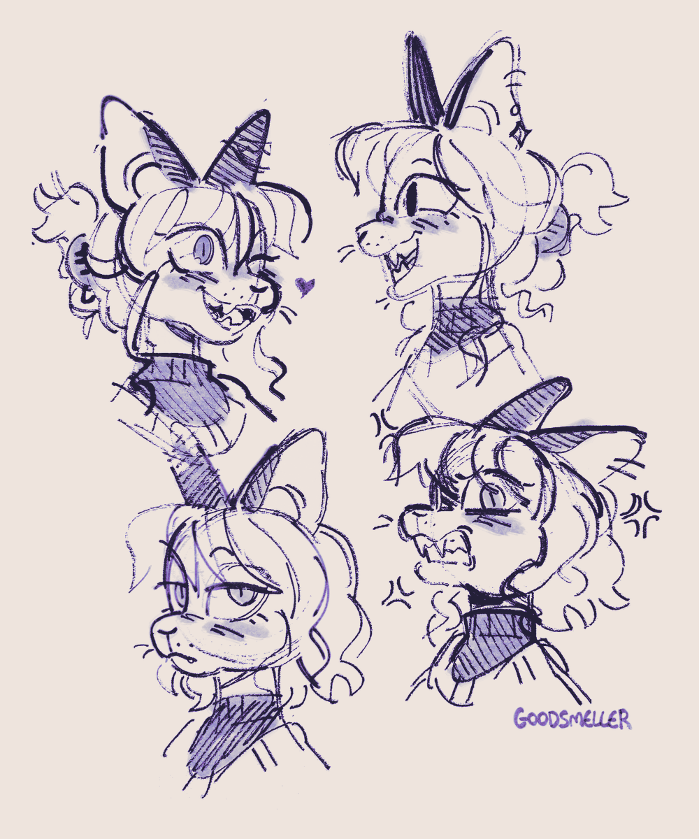 some fun kitty faces #furry