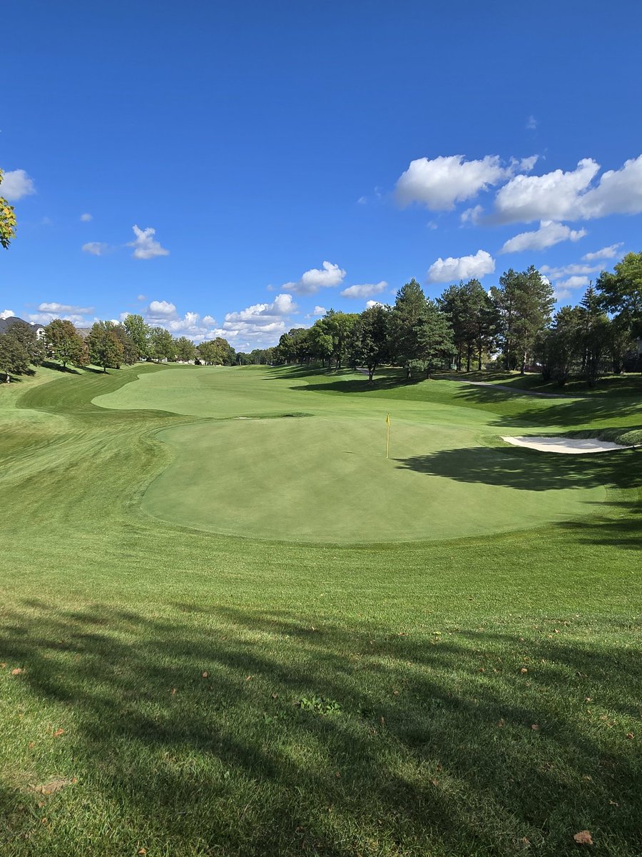 bearpathsup's tweet image. #golfis