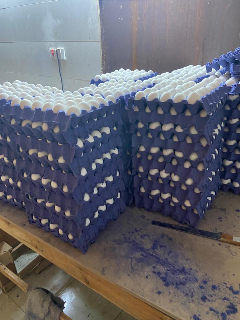 سعر الحبه البيض في #عدن ب200 ريال وعاد العليمي وشلته يحرضوا ويحشدوا الناس على ثوره في #صنعاء التي سعر البيضه هناك ب50ريال!!

ما عاد درينا من هي اللي بحاجه الى ثوره ، #صنعاء ام #عدن ؟!!