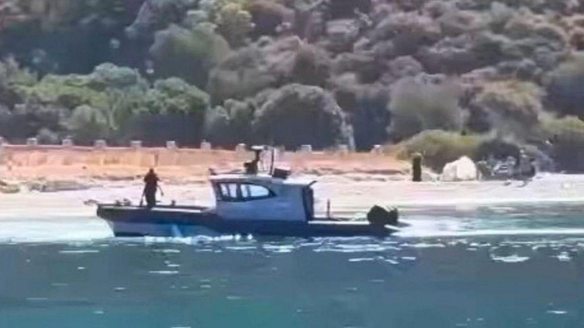 euronews tweet media