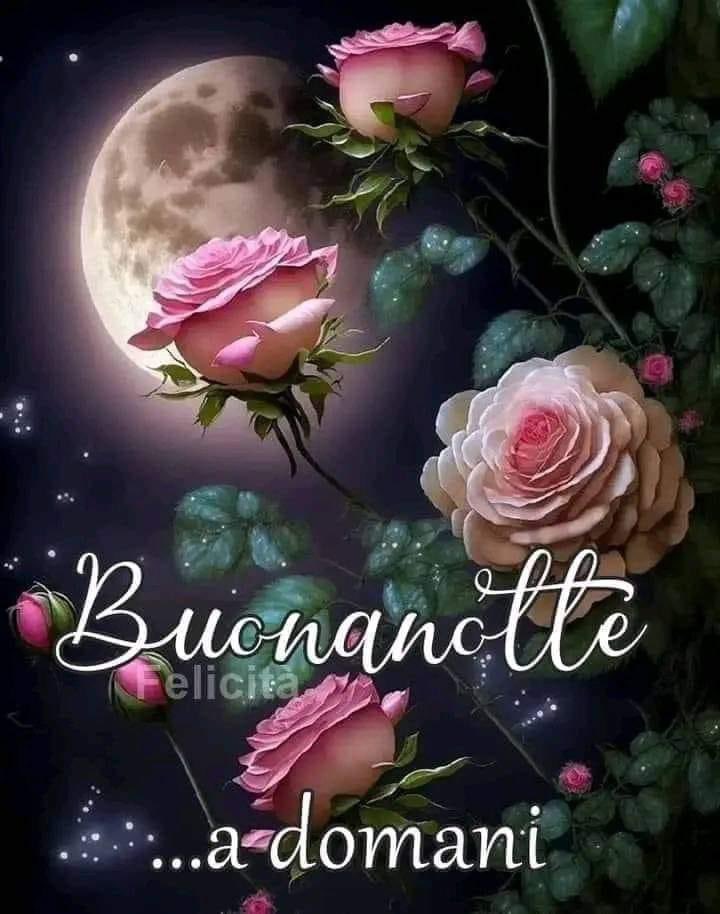 RITABIANCHi56 tweet media