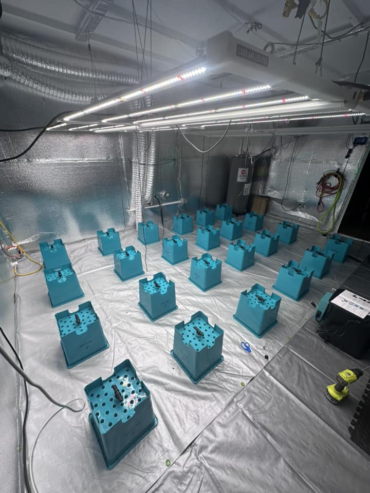 Grow Ace tweet media