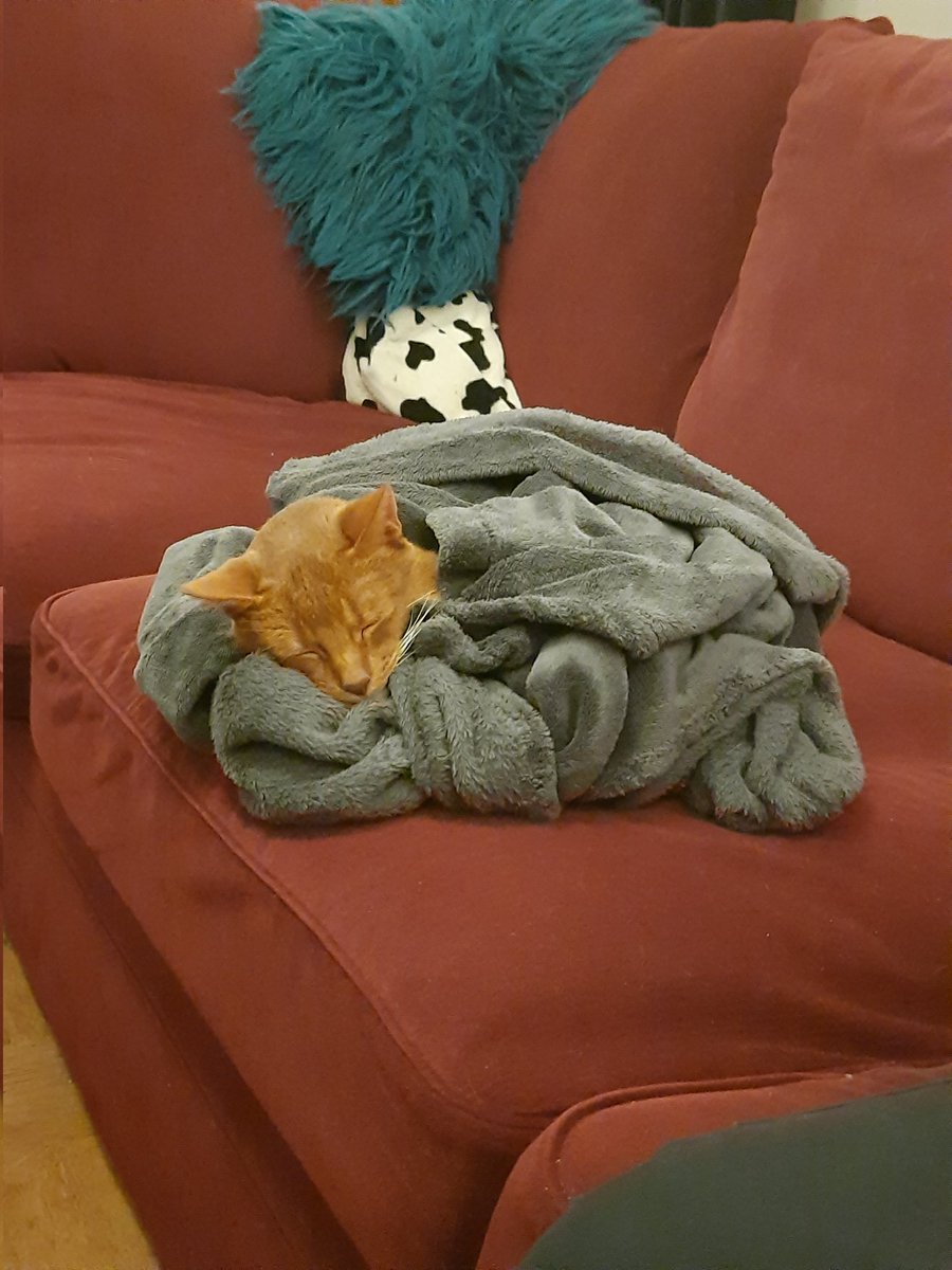 La vie c'est quand même trop dur