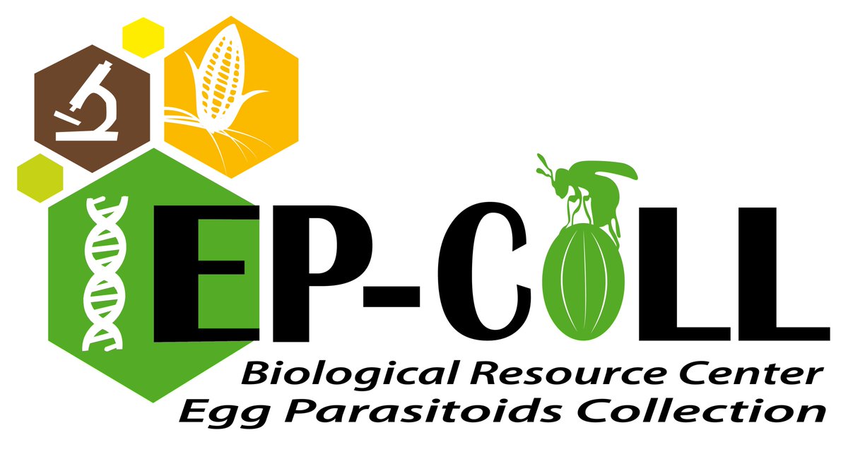 INRAE LutteBiologique (@inrae_lutte_bio) on Twitter photo Developing new prototypes for the activities of the Biological Resource Center “Egg Parasitoids Collection” (BRC EP-Coll) : an exciting project with <a href="/ucaboostmsc/">Biocontrol Solutions for Plant Health - BOOST MSc</a> students and the FabLab <a href="/SoFABbyTV/">SoFAB Telecom Valley</a> !
crb-eggparasitoids-coll.hub.inrae.fr Developing new prototypes for the activities of the Biological Resource Center “Egg Parasitoids Collection” (BRC EP-Coll) : an exciting project with <a href="/ucaboostmsc/">Biocontrol Solutions for Plant Health - BOOST MSc</a> students and the FabLab <a href="/SoFABbyTV/">SoFAB Telecom Valley</a> !
crb-eggparasitoids-coll.hub.inrae.fr