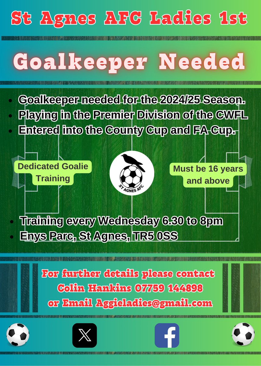If anyone knows of a goalie looking for a team or one that would be willing to play for our 1sts this Sunday please get in touch. These are a fantastic bunch of ladies with so much talent they just need a goalkeeper to complete the team.