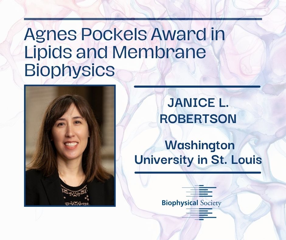 Janice L. Robertson to Receive 2025 Agnes Pockels Award in Lipids and Membrane Biophysics
ow.ly/kYpV50TuGhz
@WUSTL <a href="/RobertsonWUSTL/">Robertson Laboratory @ WUSTL</a>