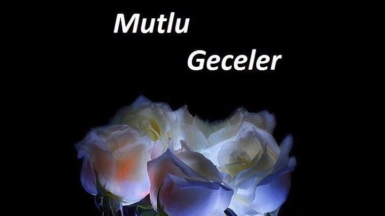 SurSelcuk's tweet photo. Ne Alnımızda Bir Ayıp Ne koltuk Altımızda Saklı Haçımız.. Biz Bu Halkı Sevdik Bu Ülkeyi... İşte Bağışlanmaz Korkunç Suçumuz.....!! https://t.co/Jr7UeO7ZJu