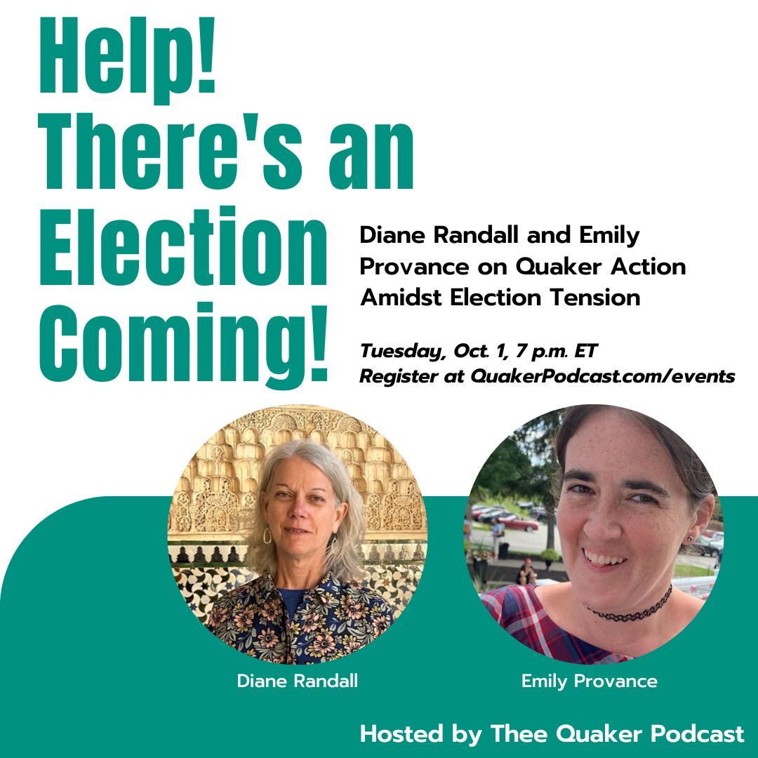 Are you feeling nervous about the upcoming US general election? Wondering what Quakers can do to prevent election violence and stand up for democracy in these tense times?

Join us for a live discussion with Diane Randall, former General Secretary for Friends Committee on