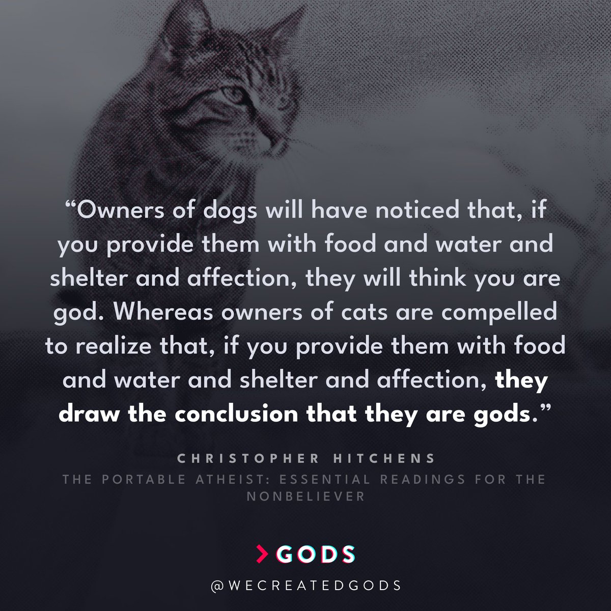 wecreatedgods's tweet photo. Dogs think you're a god. Cats think they're gods. Who really rules? 🐾 – Christopher Hitchens #PetLogic #CatWisdom #DogLife https://t.co/SYQgRVPp0e
