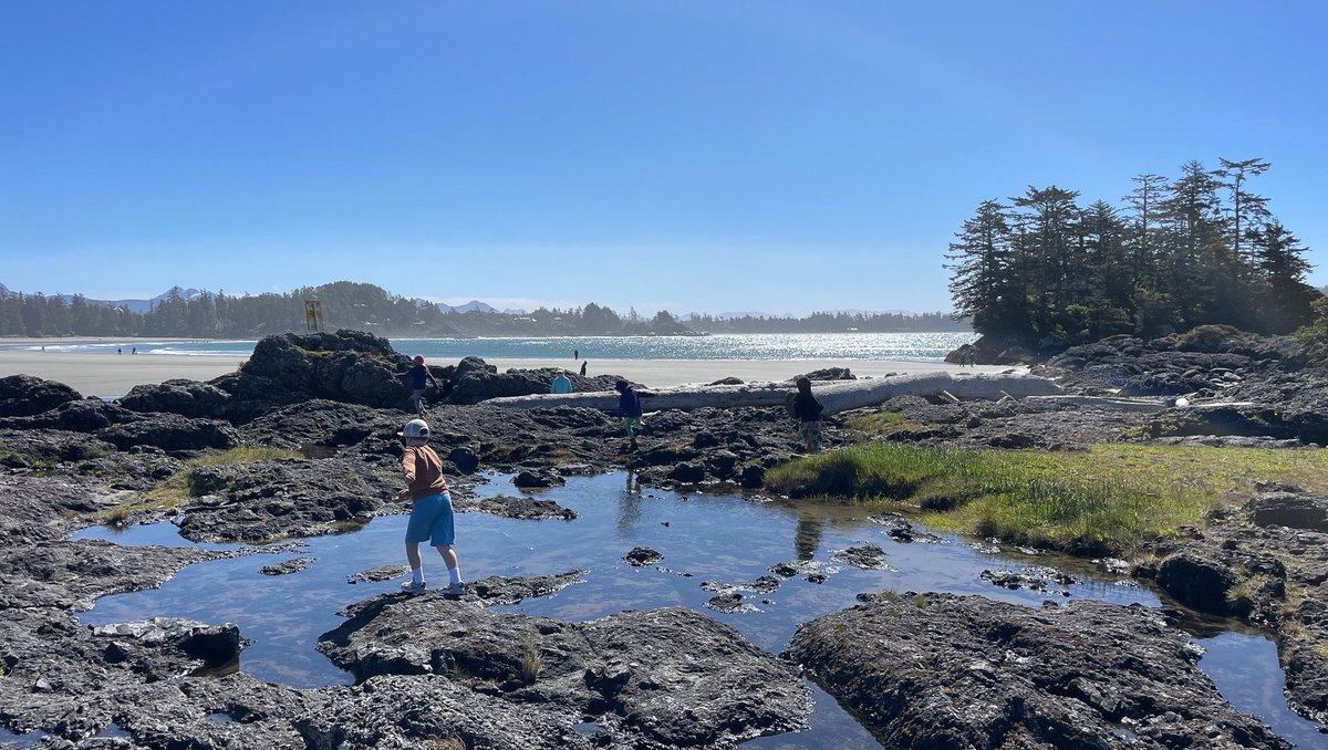 Raincoast Education tweet media