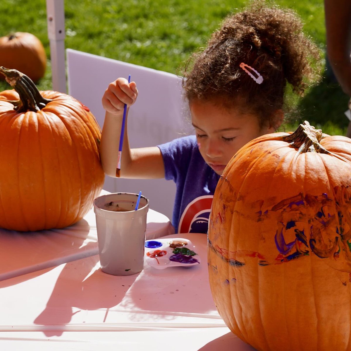 The final preparations for the Harvest Open House this weekend are underway. The event will be held rain or shine, unless severe weather arises, but we’re hopeful for a pleasant day. 

Join us at 2102 S. Wright St., Urbana. 

For more visit: go.illinois.edu/harvestopenhou…

🌱🚜🎃🍁🌽