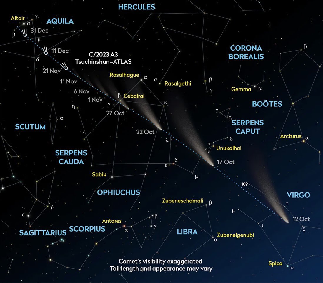 Josep_Trigo's tweet photo. 2) DIFERENTE SERÁ A MEDIADOS DE OCTUBRE: Recordar que el cometa será mucho más brillante y se despegará angularmente del Sol el 13-14 y que cada tarde SERÁ ORO porque se aleja de la Tierra a toda velocidad. Visible a simple vista alrededor de una semana😉👇
Imagen @skyatnightmag https://t.co/hyATTFsJ8x