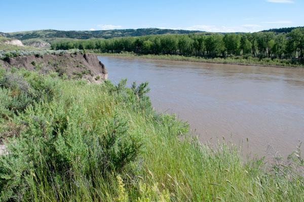 SE_Future's tweet image. Agriculture and Ecosystem Degradation dlvr.it/TDdmH5