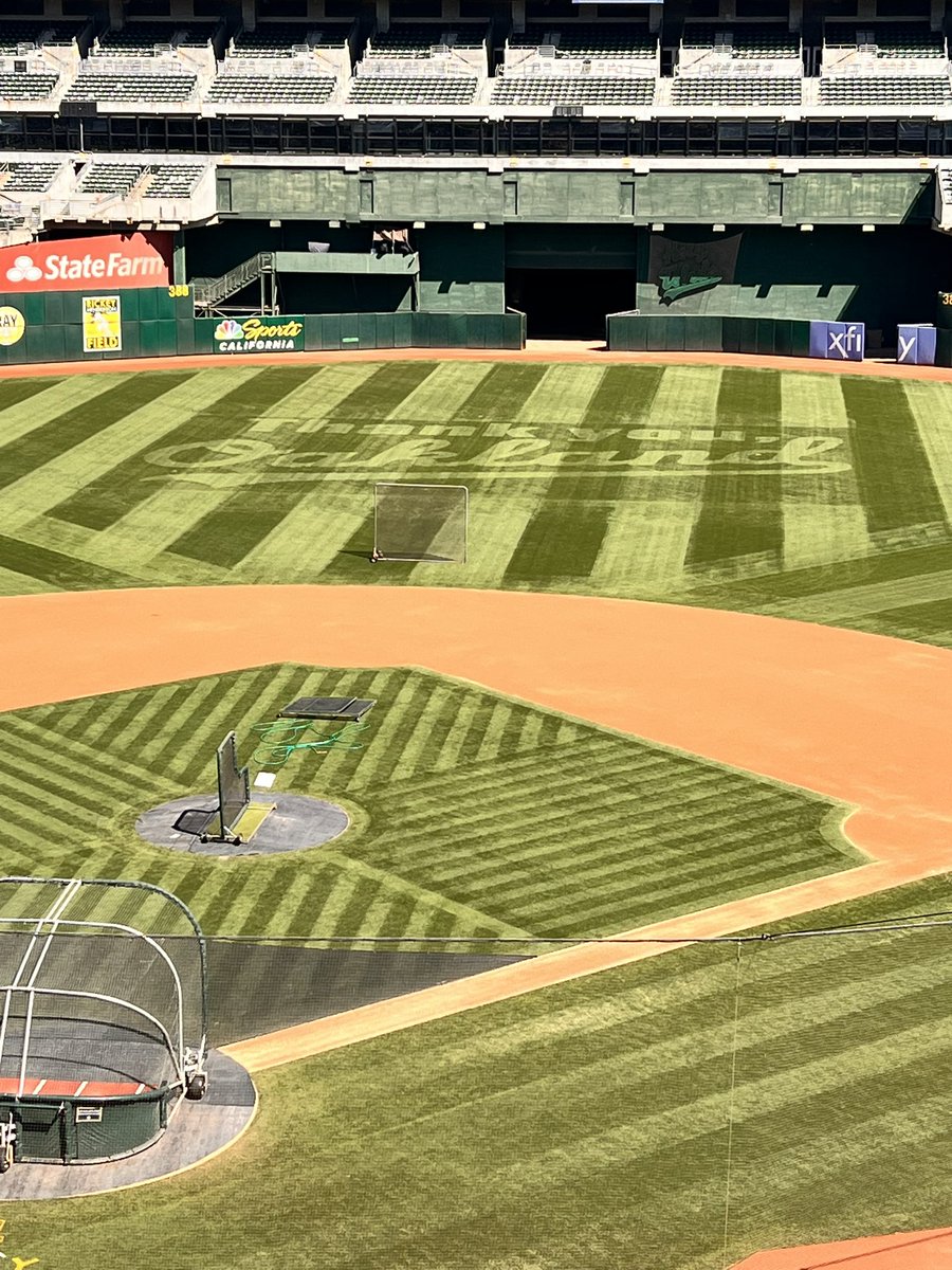 Outfield looks a little different this final homestand 💛💚