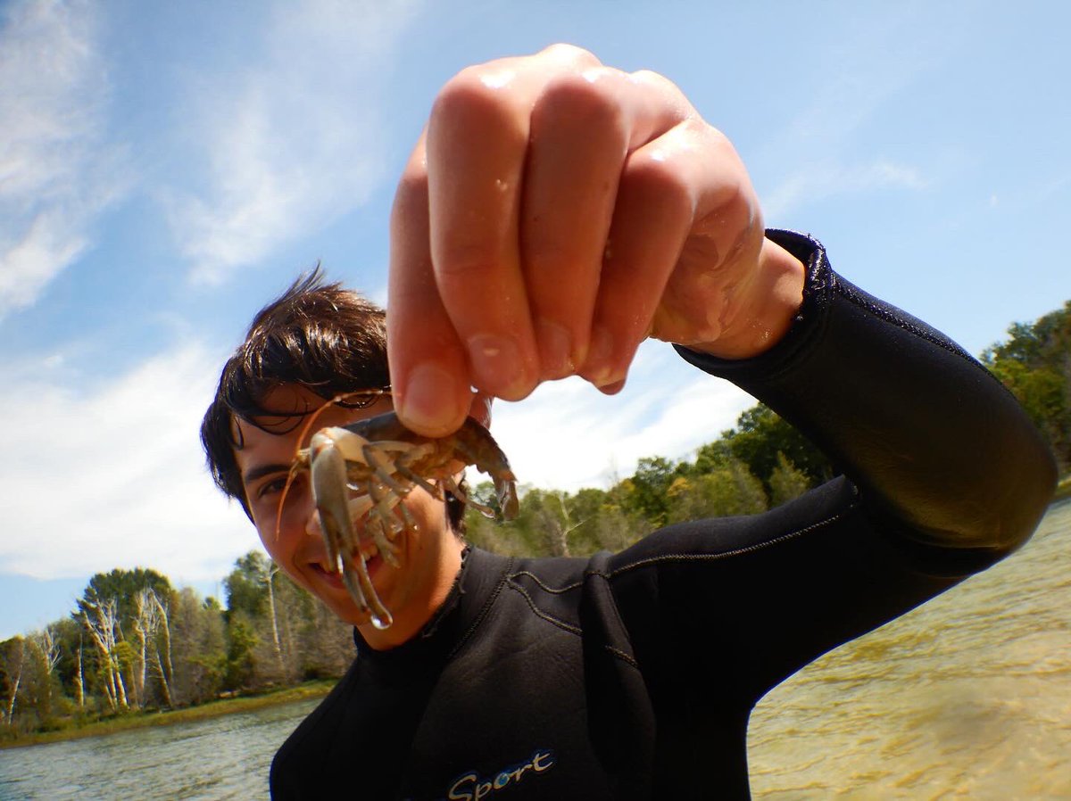 Woolnough Mussel Lab tweet media