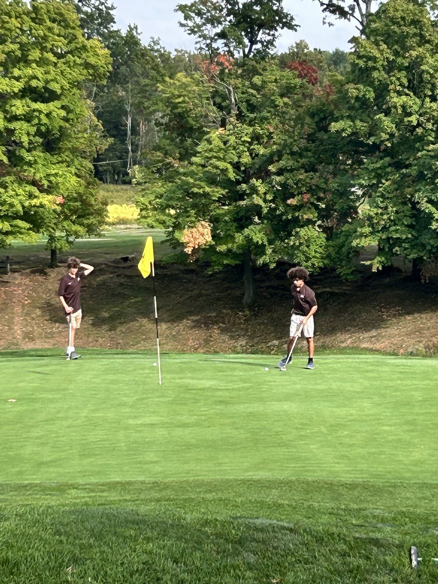 Brush Golf tweet media