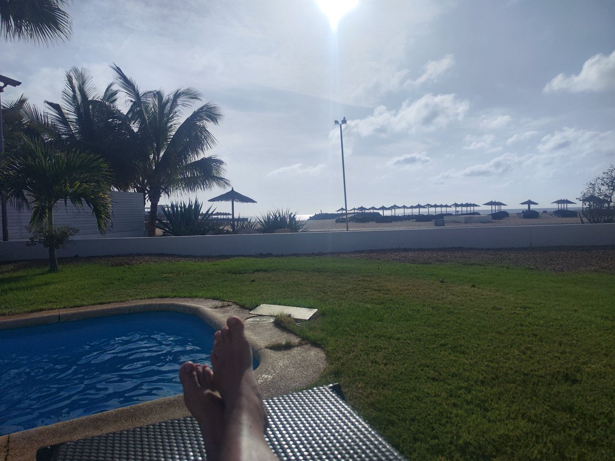 Ganz schlimm hier....☀️🌴