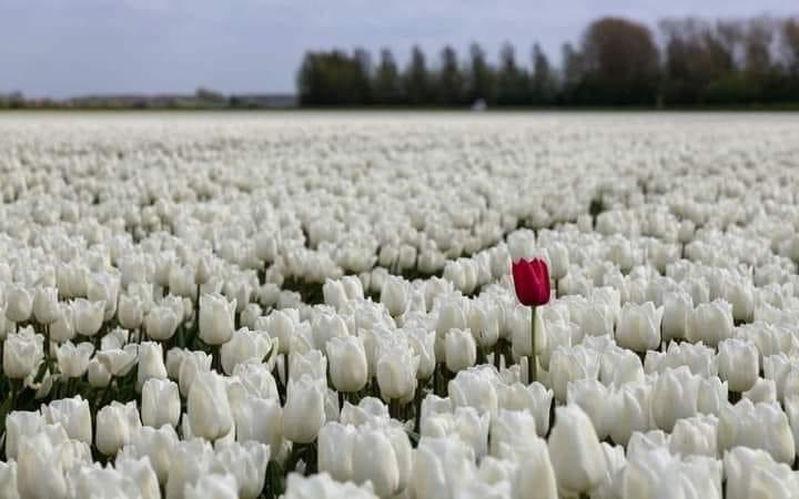 _mymsgs's tweet photo. Look you are one in a million. https://t.co/VlNCZDtF7P