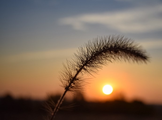 Stay Connected dlvr.it/TDdnmF