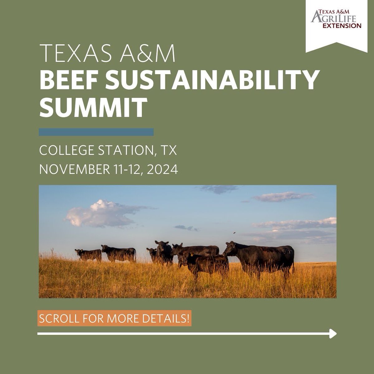 U.S. Roundtable for Sustainable Beef tweet media