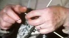 tourscotland's tweet photo. Tour #Scotland very unique short 4K travel video Blog clip, with #Scottish bagpipes music, of a #Crofter woman in a cottage fast knitting a #Jumper on ancestry, genealogy, family history visit and trip to the coast of the #Outer #Hebrides https://t.co/4bEHUiYTTE https://t.co/5X1OuwgZAP