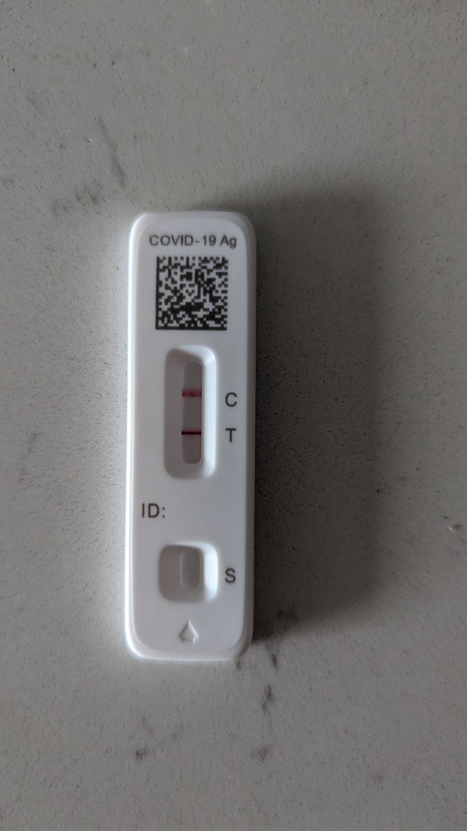 Leah Asimov⛓️⌚ GLITCHSTARS tweet media