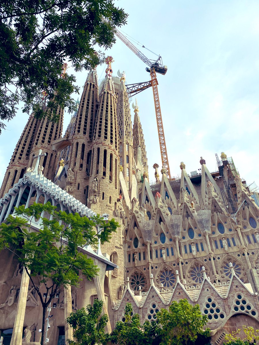 Julie O'Grady tweet media