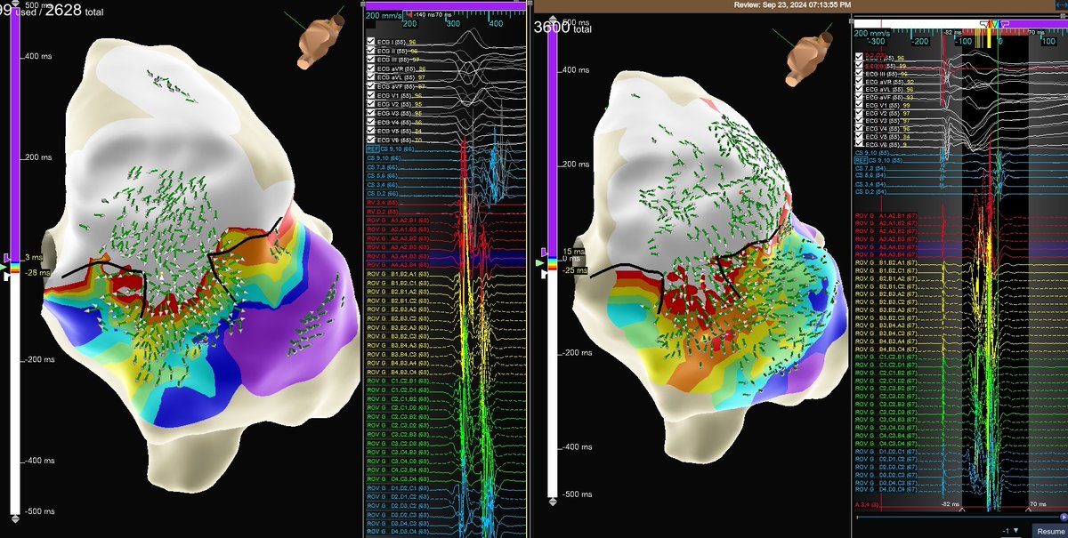 Christy D’Annibale tweet media