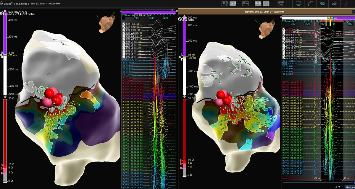 Christy D’Annibale tweet media