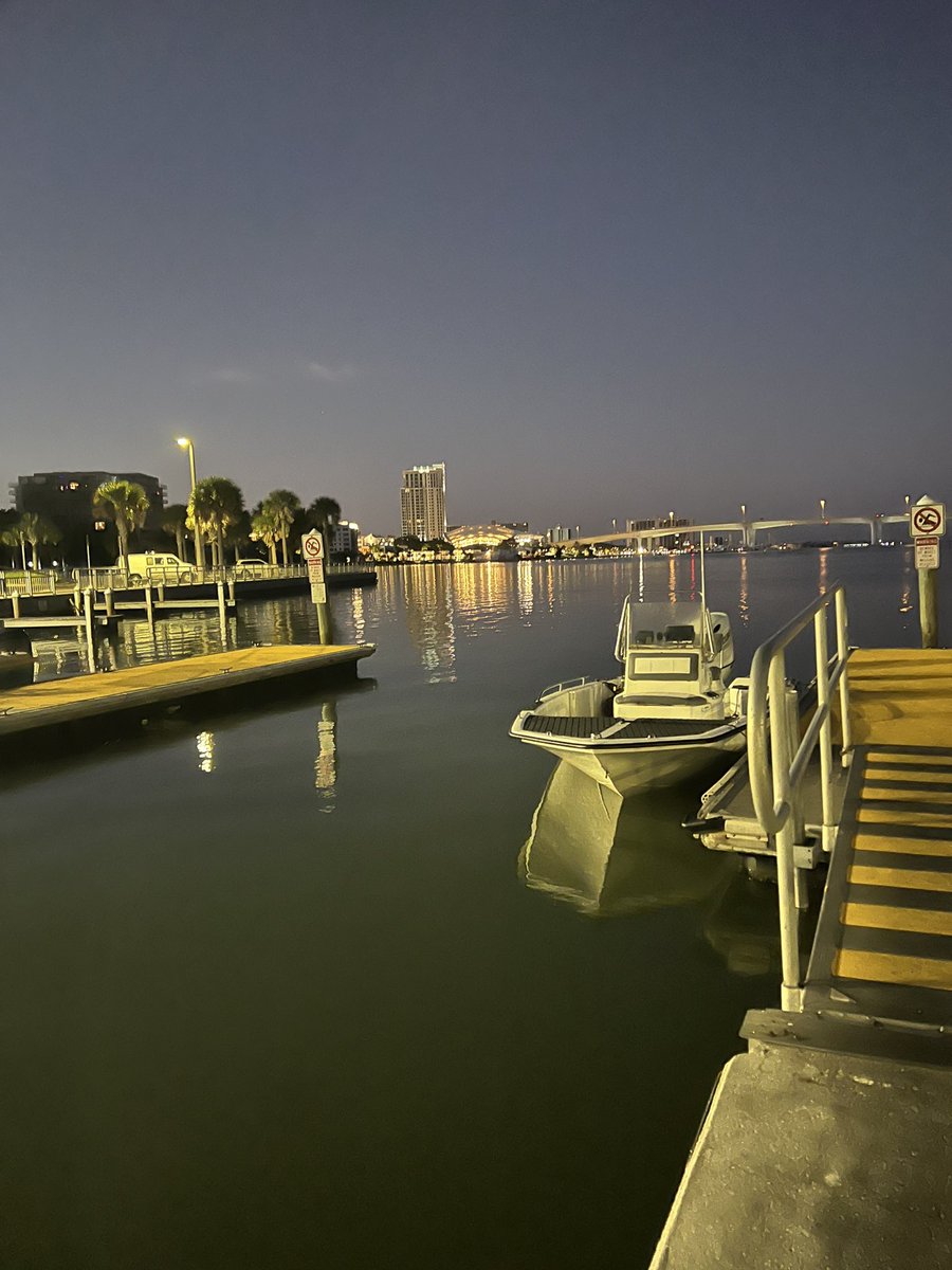 splinterthumbs's tweet image. Escaped from MK Ultra for a day.