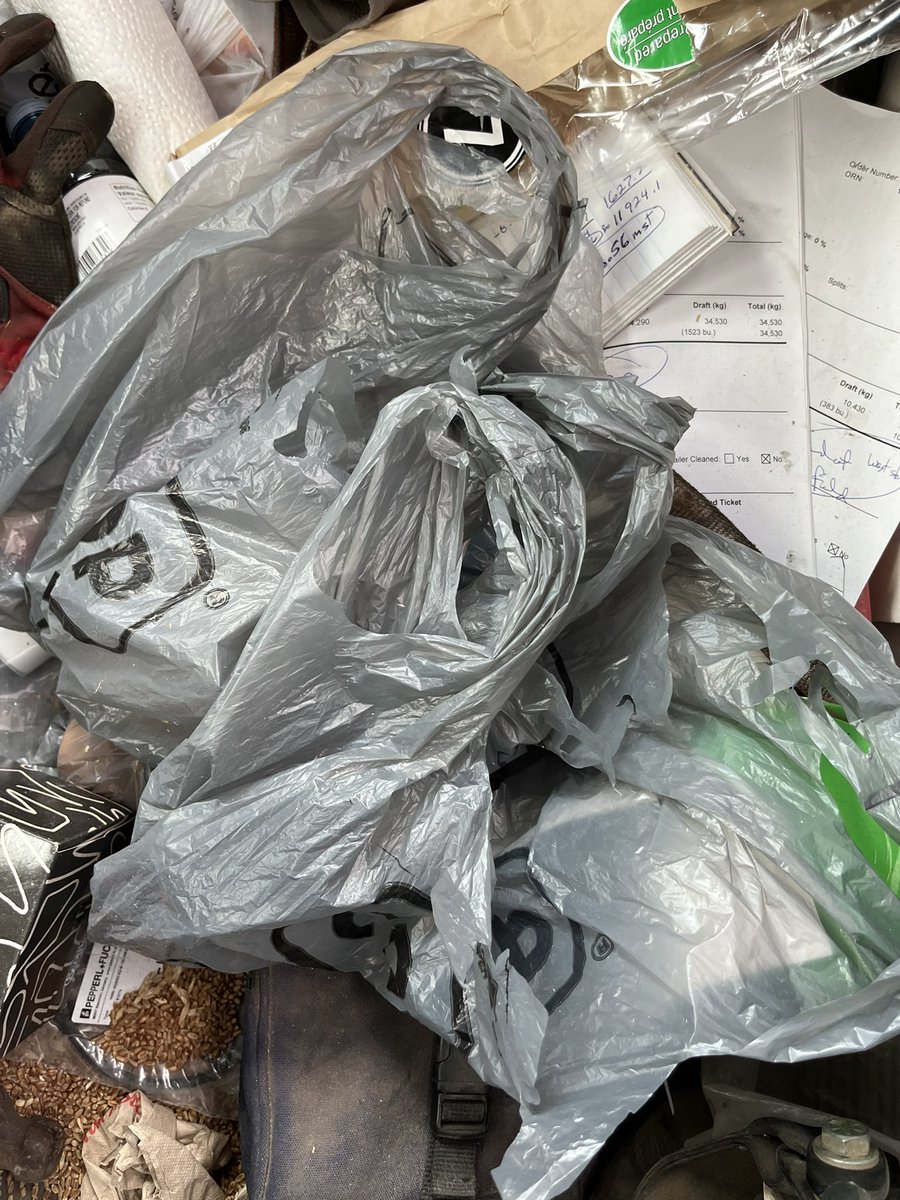 loopholefarms's tweet image. I’m at that stage of harvest where I’ve got multiple lunch bags in either semi, but unsure which was the new one for the day. #wishmeluck #snifftest #grainlogisticscoordinatorproblems #harvest24