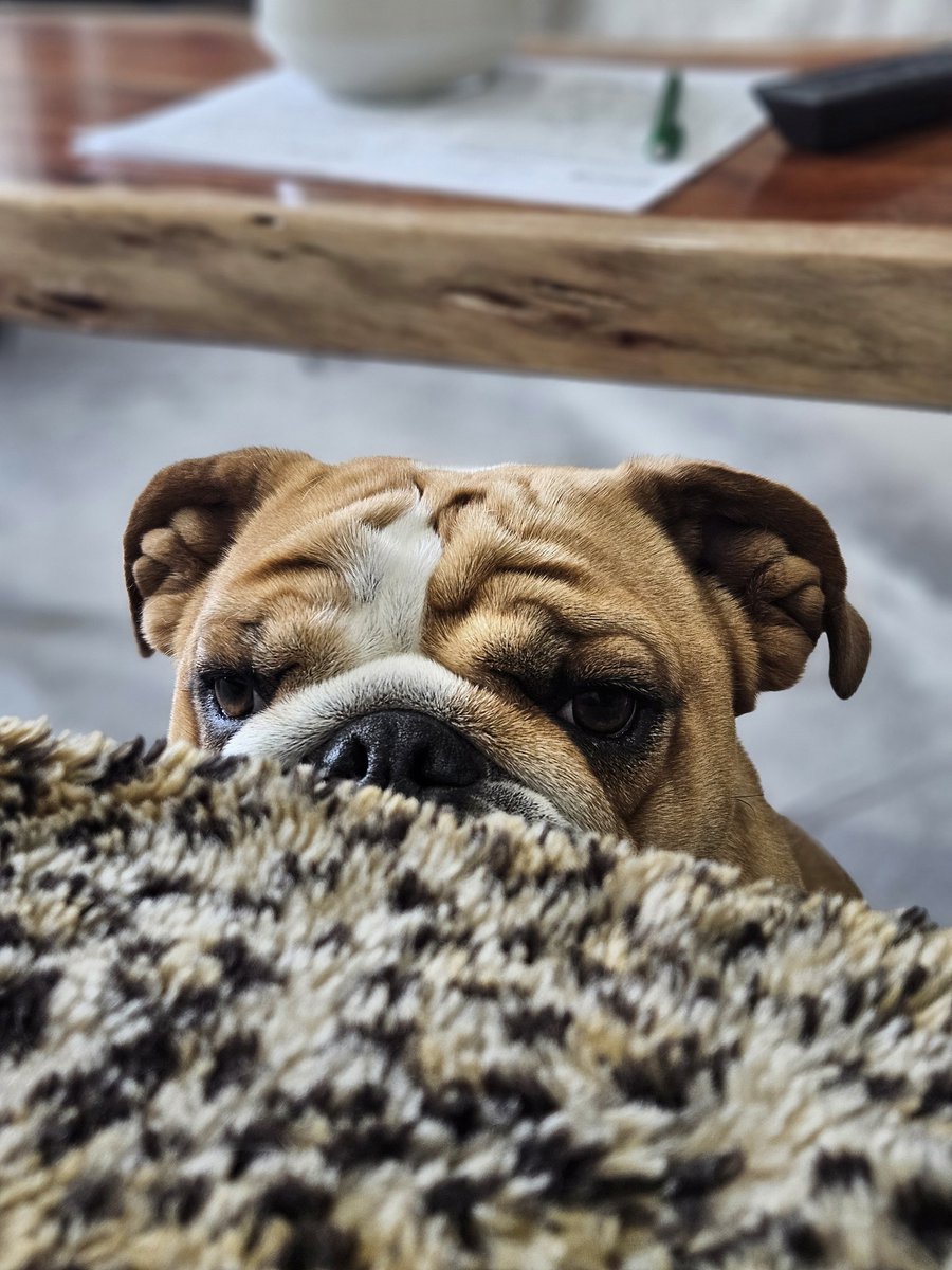 I can't shake this weird feeling that someone's watching me. 🤔😆