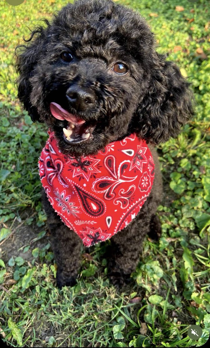 In my bandanna and my tongue just comes out. Mama said she can’t resist my face. - Noir #twinsiesontwitter #tongueouttuesday