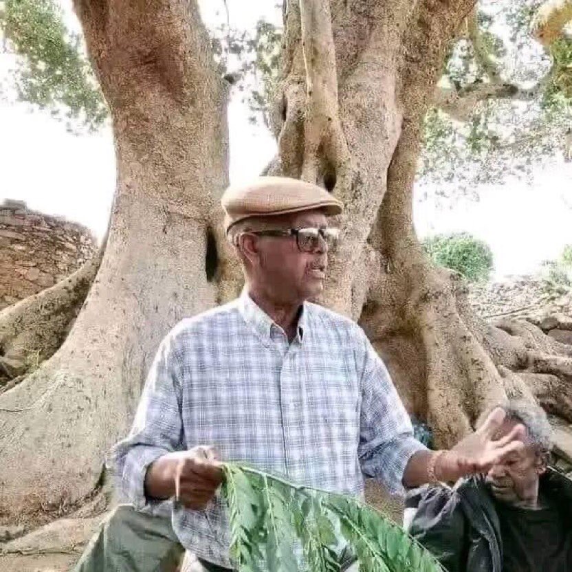 BlackMeazi's tweet photo. እዚ ናይ ሐዚ  ኲናት ንኽመፅእ ዜሮ ብፅሒት ዝነበሮ፤ ንህዝቢ ትግራይ መስዋእቲ ንምኽፋል ኣብ ቅድሚት ደው ዝበለ ድማ ናይ ኣምበሳ ግደ ዝተፃወተ ኣያና ፃድቃን ክብሪ እምበር ፀለመ ኣይግብኦን። https://t.co/2gaF8h3vTZ