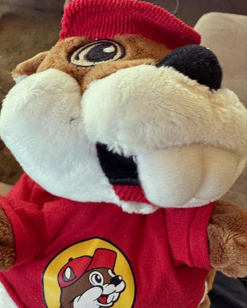 davegomez22's tweet image. ✨KNUCK IF U BUC ❤️⚡️🦫 @bucees #bucees #longtimefan #firsttimevisitor