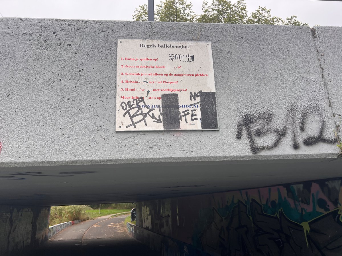 AlexGitzels's tweet photo. #hoorn @raadhoorn Het lijkt in de raad of er nog geen vrijplaats graffiti is. Maar deze dan bij Ballenbrug Risdam Noord? #wisselexpositie https://t.co/EhRZ9G8P8H