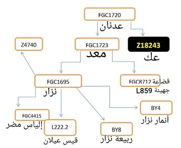 بلال العشاري tweet media